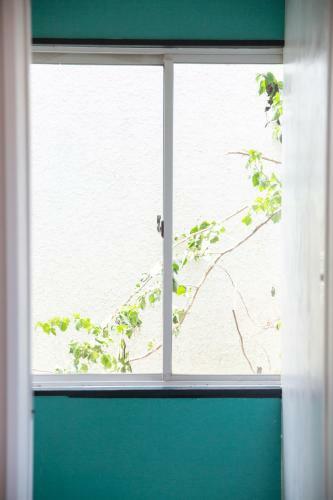 Meedafu's Yui Hostel And Coffee