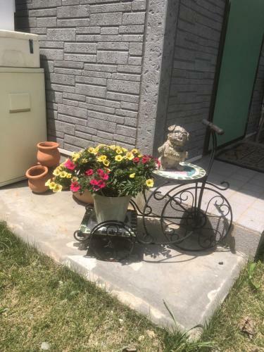 Hostal Minshuku Tomato House