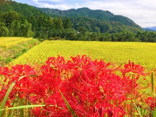 Nature Resort In Shimanto