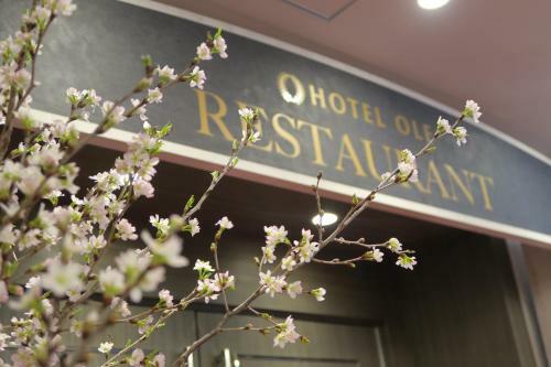 Hotel Ole