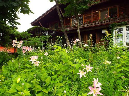 Bed & Breakfast Pension Apple