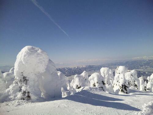 Hostal Yamagata Zao Pension Aplon Stage