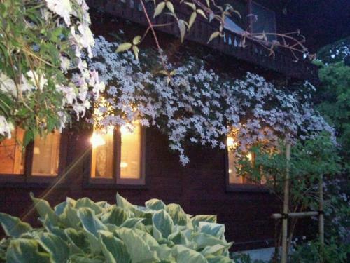 Hostal Yamagata Zao Pension Aplon Stage