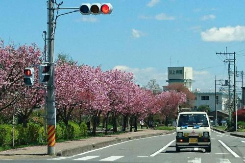 Apartamento Nikko Dream House