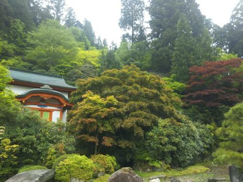 Hostal Koyasan Shukubo Sainanin