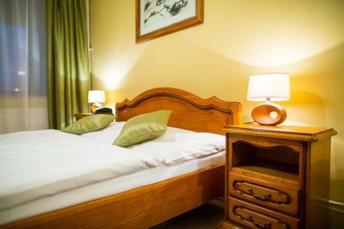 Hotel Satelit