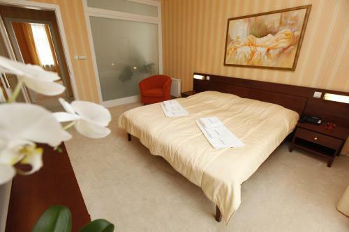 Hotel Sandor Pavillon