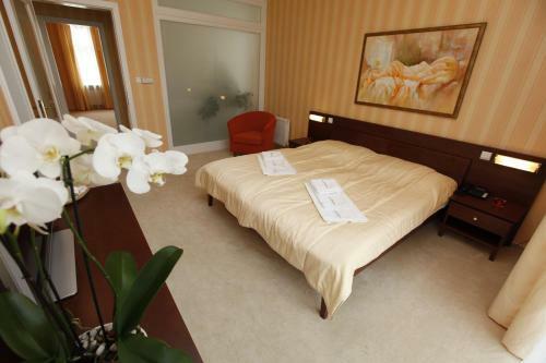 Hotel Sandor Pavillon