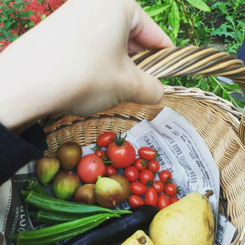 Shinshu Yokoya Farm