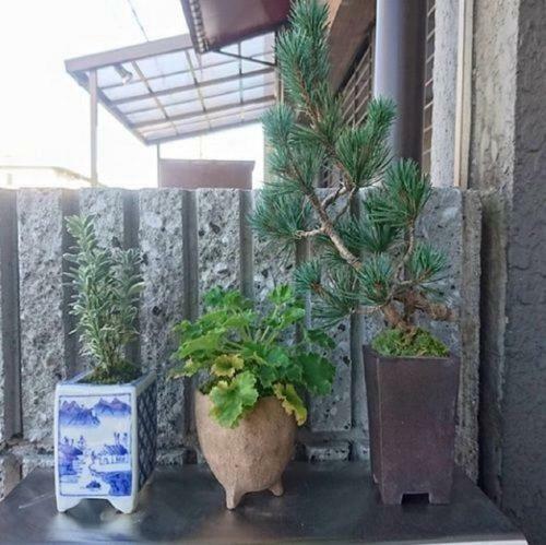 Hostal Guesthouse Tai