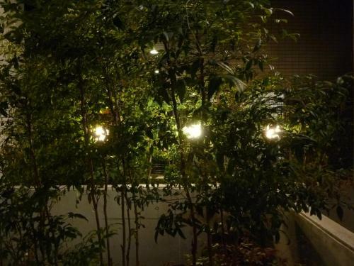 Apartamento Nagoya Motoyama House C