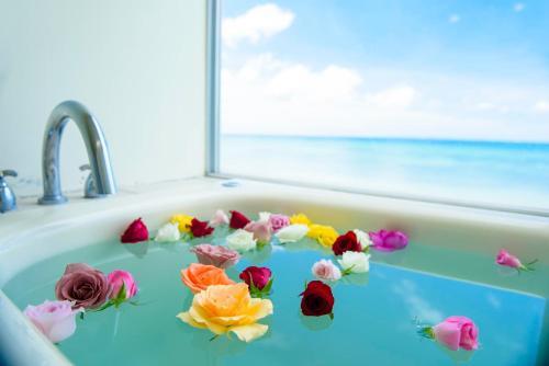 Hostal Keiki Beachhouse & Cafe