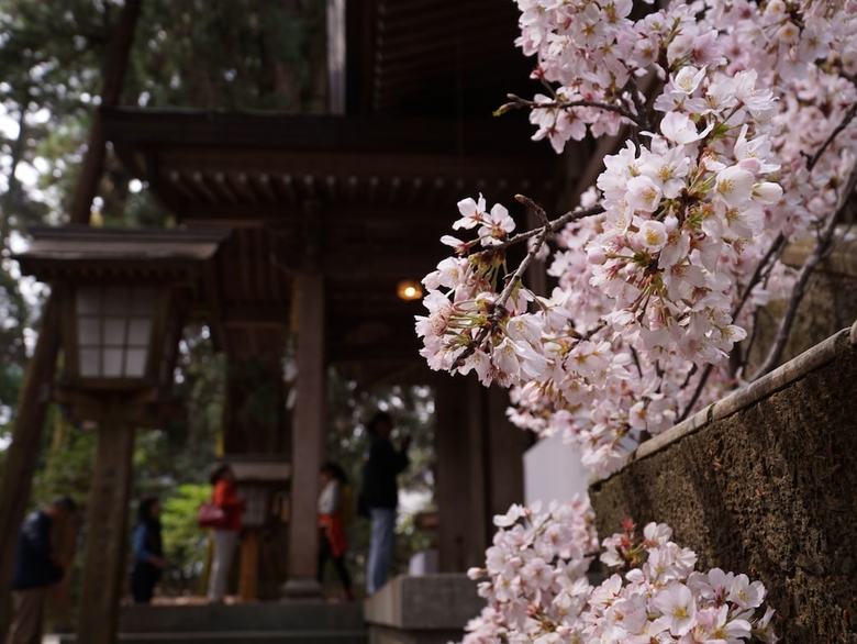 Apa Hotel Miyazaki Nobeoka Eki Minami