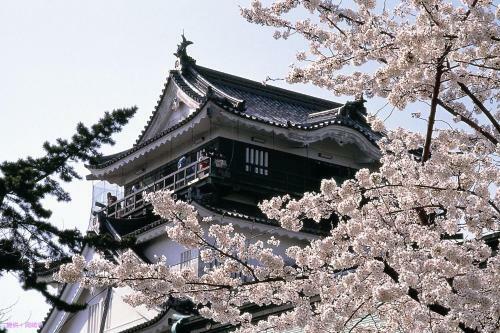 Hotel Waltz Okazaki (adult Only)
