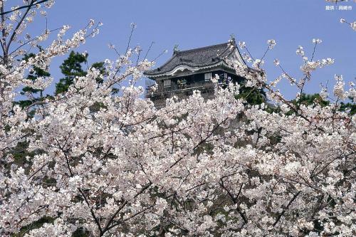 Hotel Waltz Okazaki (adult Only)