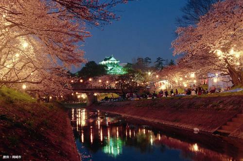 Hotel Waltz Okazaki (adult Only)