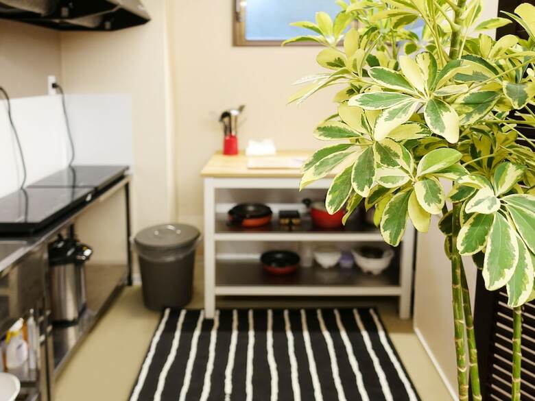 Albergue Briller Universal Japon