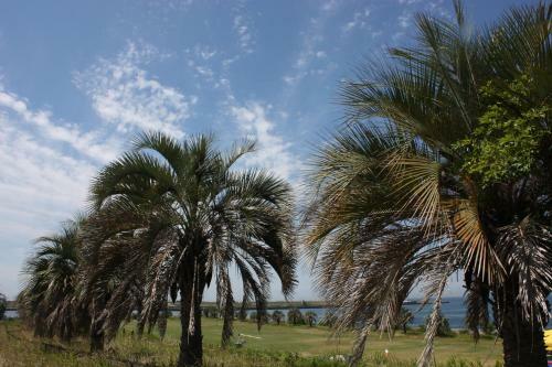 Lodge Palm Garden Maishima By Wbf