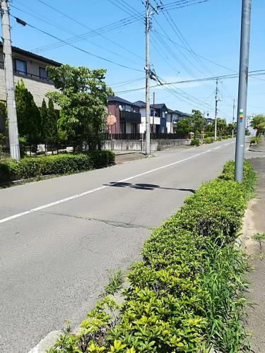Jukichi Owada Residence Twin Room