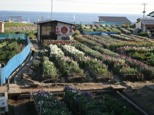 Hostal Hillside Inn Sirocco