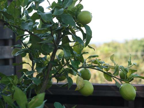 Hostal Hillside Inn Sirocco