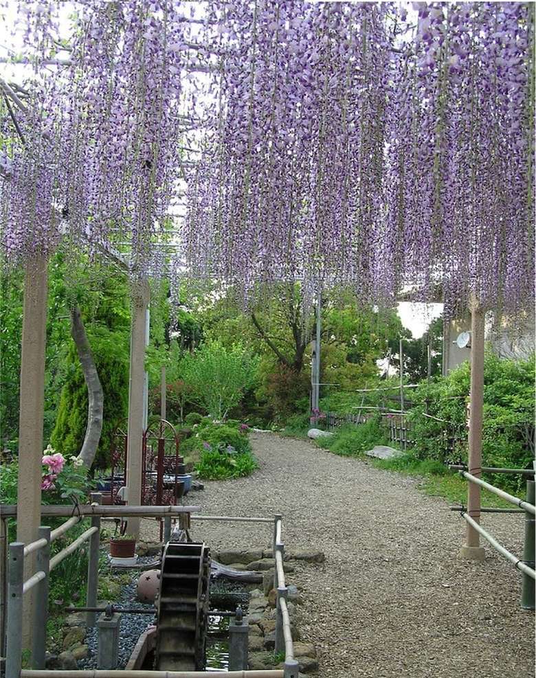 Senpokaku