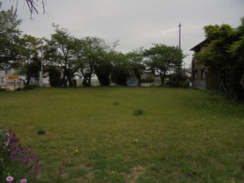 Mike's B&B