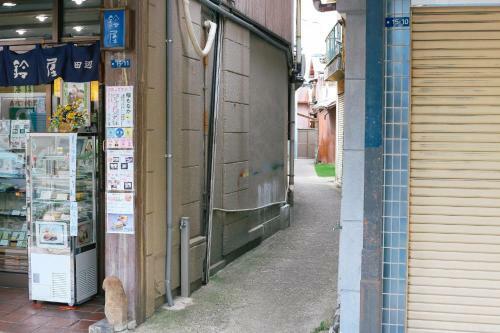 Hostal The Cue