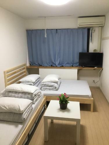 Sophiearth Apartment