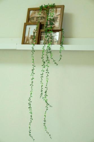 Apartamentos Spring Garden Ryogoku