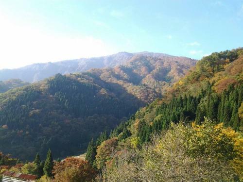 Hachikogen Furusato Asagiriso