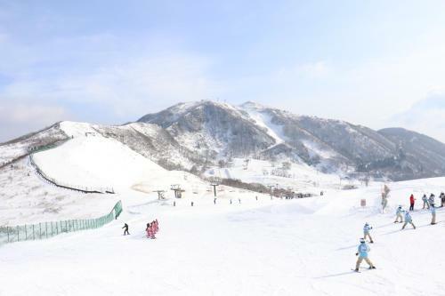 Hachikogen Furusato Asagiriso