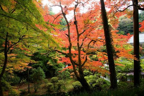 Shokinkan