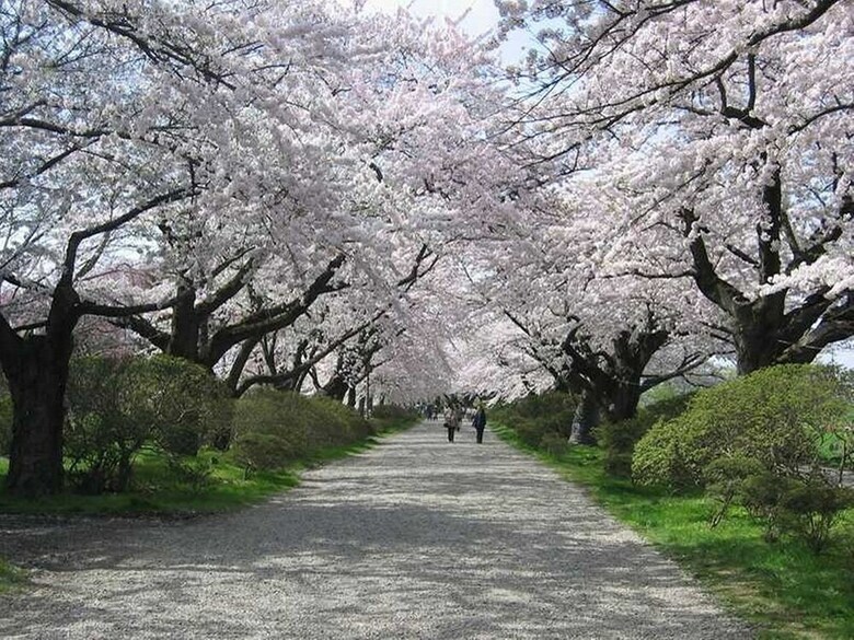 Yamayuri No Yado