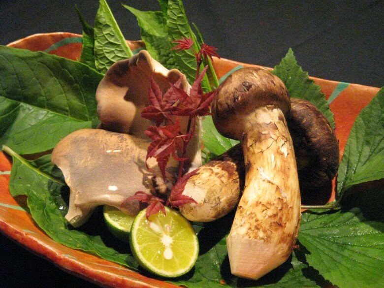 Yamayuri No Yado
