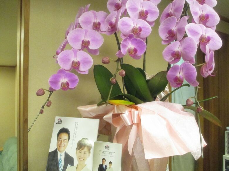 Hotel Crown Hills Imabari