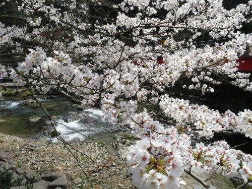 Otani Sanso