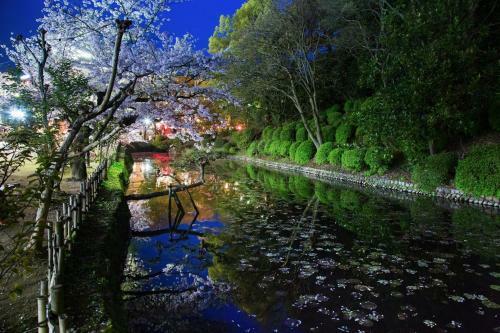 Guest House Dougo-yado