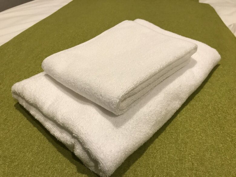 Nest Hotel Hakata Station