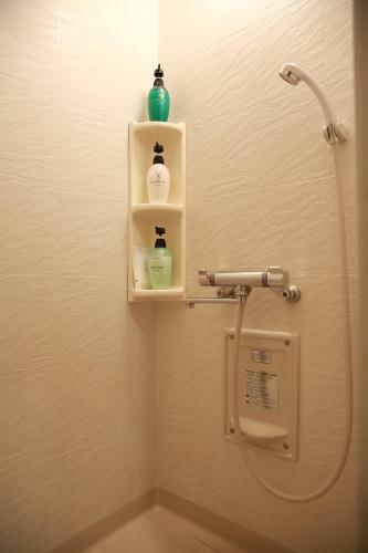 Hotel Asche