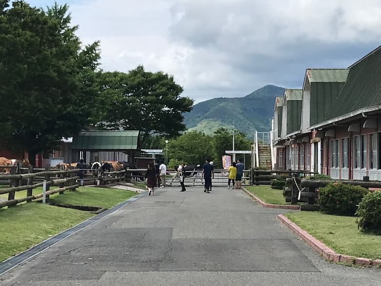 Hotel Active Resorts Kirishima