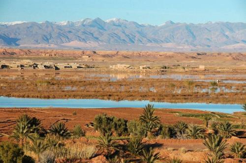 Bed & Breakfast Dar Bladi