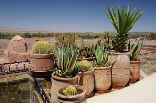 Bed & Breakfast Kasbah Dar Daif