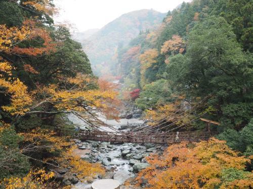 Hostal Iya Vine Bridge Guest House