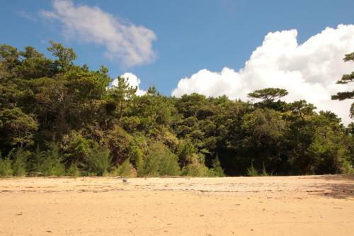 Agroturismo Cottage Tingara