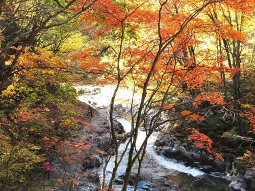 Hostal Pension Hana Kirin