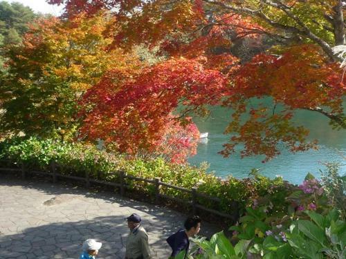 Hostal Pension Hana Kirin