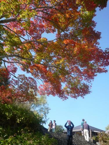 Hostal Pension Hana Kirin