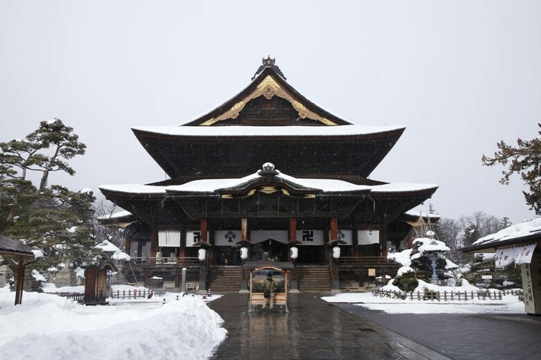 Fujiiso