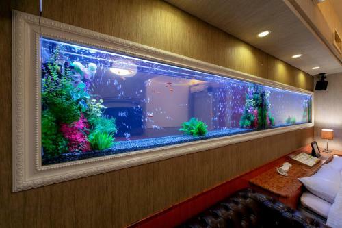 Hotel Luna Kashiba (adult Only)
